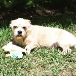 Barb Phillips - @seas2029 - Instagram