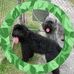 Barb Phillips - Facebook