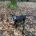 Barb Phillips - Facebook