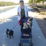 barb_a_poole - @barba_poole - Instagram