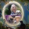 Barb A Poole - @barbapoole - TikTok