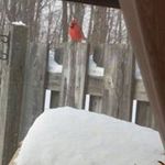 barb poole - @poole_barb - Instagram