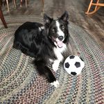 Barb Pratt - @blpquilt - Instagram