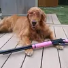 barbpratt8 - @barbpratt8 - TikTok