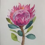 Barb Price - @watercolourbybarbprice - Instagram