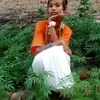 Kajal Princess Barbardia - @kajal.prince.barb - TikTok
