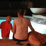 Barb Purcell - @purcell.barb - Instagram