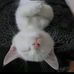 Barb Purcell - Facebook