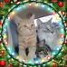Barb Purcell - Facebook