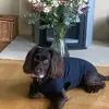 barbarapurcell01 - @barbarapurcell01 - TikTok