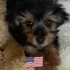 barbarapurcell481 - @barbarapurcell481 - TikTok