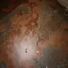 Barbrah NL - @barbrahnl - TikTok