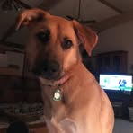 Barb Ramey - Facebook