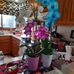 Barb Raney - Facebook