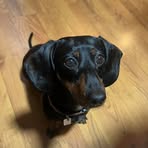 Barb Rauch - Facebook