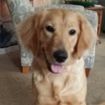 Barb Rauch - @rauchbarb - Instagram