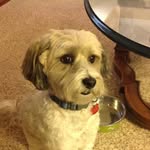 Barb Ray - @barb.ray430 - Instagram