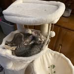 Barb Ray - @barbray65 - Instagram