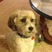 Barb Ray - Facebook
