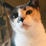 Barb Raymond - @barb.raymond.315 - Instagram