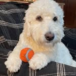 Barb Raymond Ives - @barbraymondives - Instagram