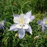 Barb Recktenwald - @barbrecktenwald - Instagram