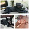 Barb Reesman - @barb.reesman - TikTok