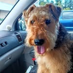 Barb Reeves - @barb_reeves3 - Instagram