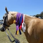 Barb Reeves - @reeves6414 - Instagram