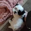 Barb Reeves - @barb.reeves - TikTok