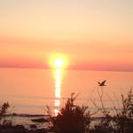 Barb Atkinson Reid - @barbreid34 - Instagram