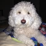 Barb Reilly - @babsie_1203 - Instagram