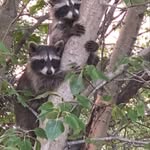 Barb Reimer - @barb_reimer777 - Instagram