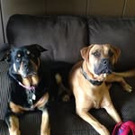 Barb Reimer - @barb.reimer.31 - Instagram