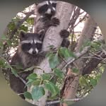 Barb Reimer - @barb.reimer1 - Instagram
