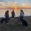 barbaraannrench - @dunedindoggydates_ - TikTok