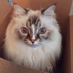 Barb Renner - @renner_barb - Instagram
