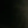 Rexbarb - @rexbarb - TikTok