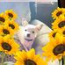 Barb Rice - Facebook