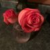 Barb Rice - Facebook