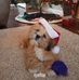 Barb Richardson Riethmaier - Facebook