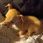 Barb Richards - @barb.richards.5851 - Instagram