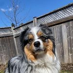 Barb Litwiller-Richmond - @barbierichgirl - Instagram