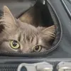 Barbara Riggsie - @barbara.riggsie - TikTok