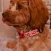 Barb Riley - Facebook
