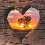 Barb Riley - @barbriley66 - Instagram