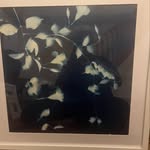Barb Riley - @lovemydog9123 - Instagram