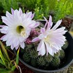 Barb Ritchie Ritter - @barbritchieritter - Instagram
