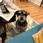 Barb Roach - @bb222rr7 - Instagram