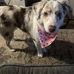 Barb Robbins - Facebook
